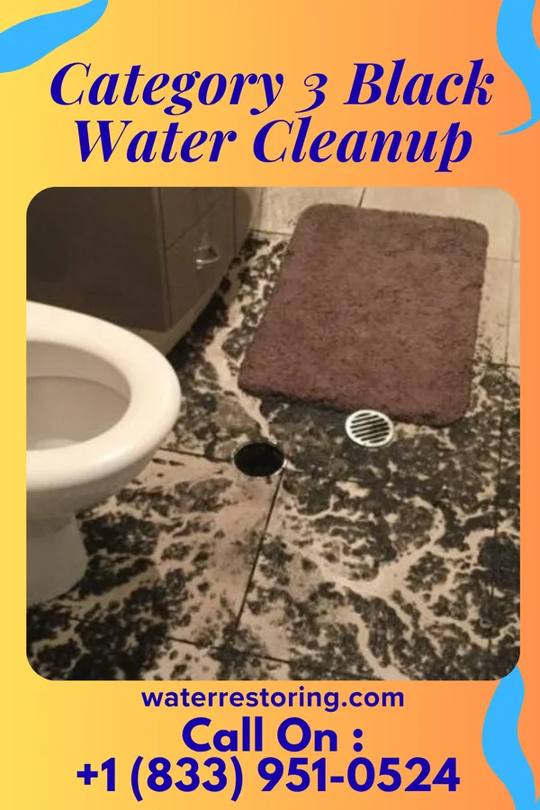 Category 3 Black Water Cleanup in Oak Harbor, OH