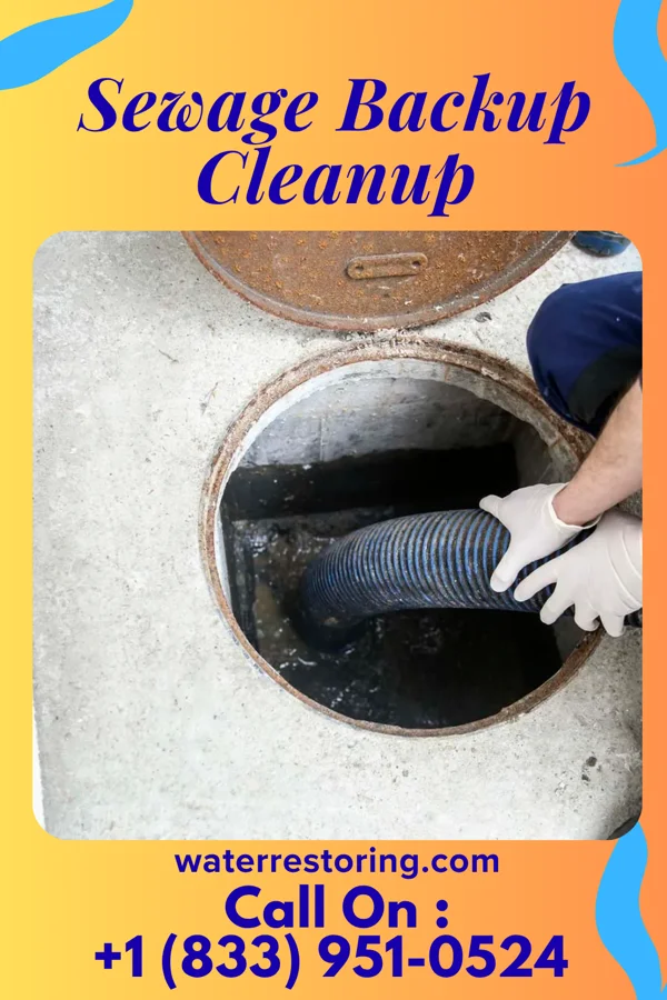 Sewage Backup Cleanup in Oak Harbor, OH