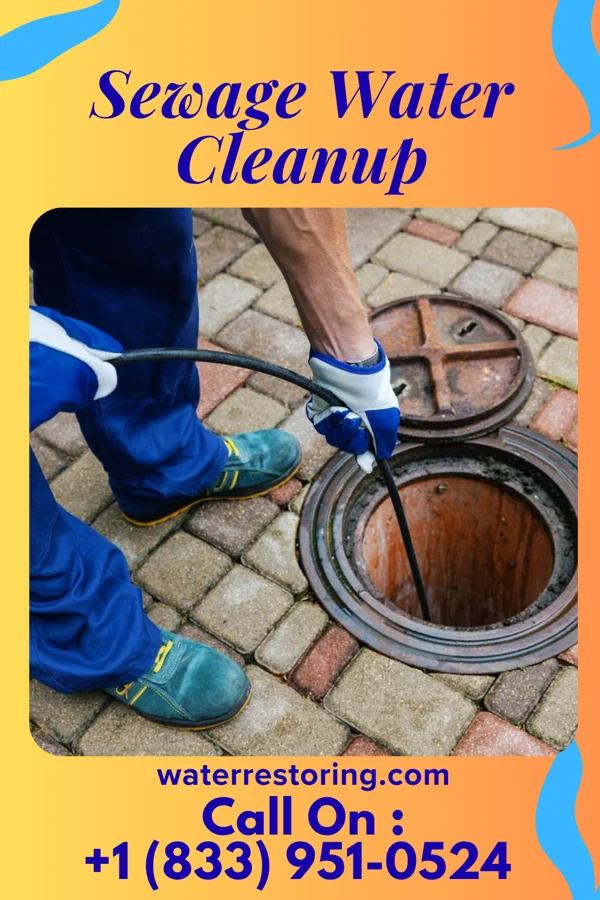Sewage Water Cleanup in Oak Harbor, OH